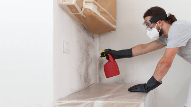 Professional Basement Mold Remediation technician working in Castleton, VA