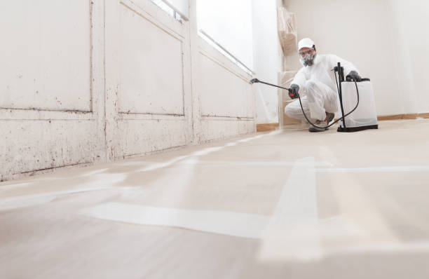 24/7 Emergency Basement Mold Remediation experts in Castleton, VA