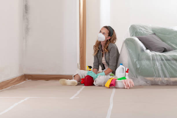 Reliable Basement Mold Remediation contractor in Castleton, VA by 24 Hour Mold Removal